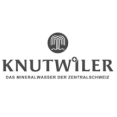 Home | Marktforschungsinstitut Schweiz | TransferPlus | Wir machen Markt- und  Meinungsforschung | Knutwiler